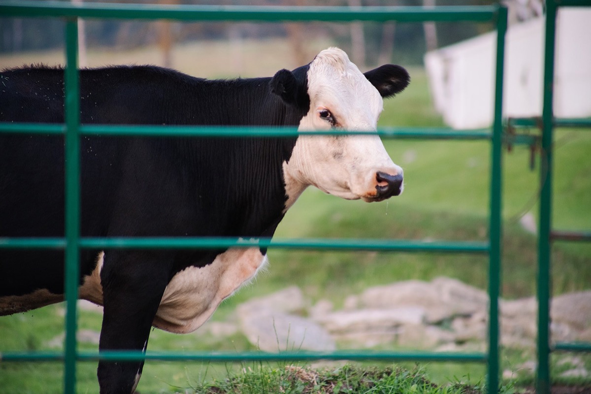 Road Work Comedy audience